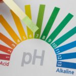 body's ph levels